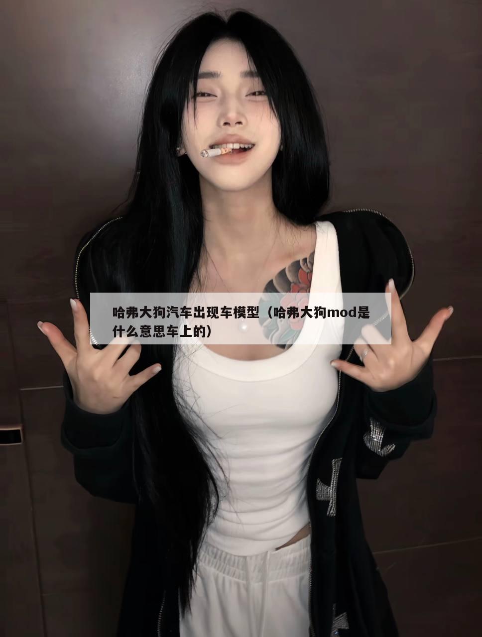 哈弗大狗汽车出现车模型（哈弗大狗mod是什么意思车上的）